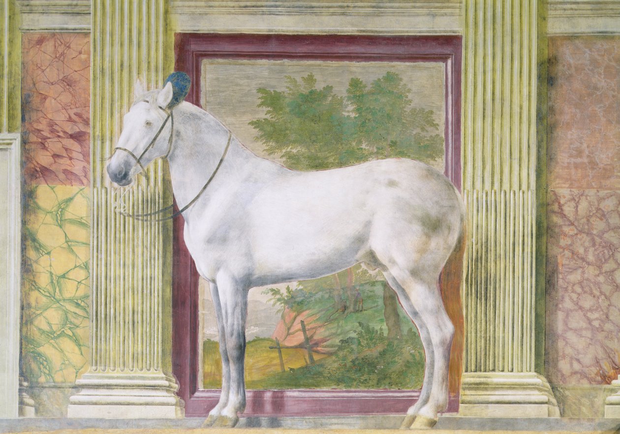 Hästarnas hall, detalj som visar ett porträtt av en grå häst från stallet av Ludovico Gonzaga III av Mantua av Romano Giulio