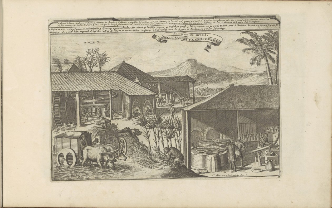Brasilianska sockrar Brasilise Suykerwerken / Godis från Brasilien (titel på objekt) Öst- och Västindien och andra platser (serietitel) av Romeyn de Hooghe