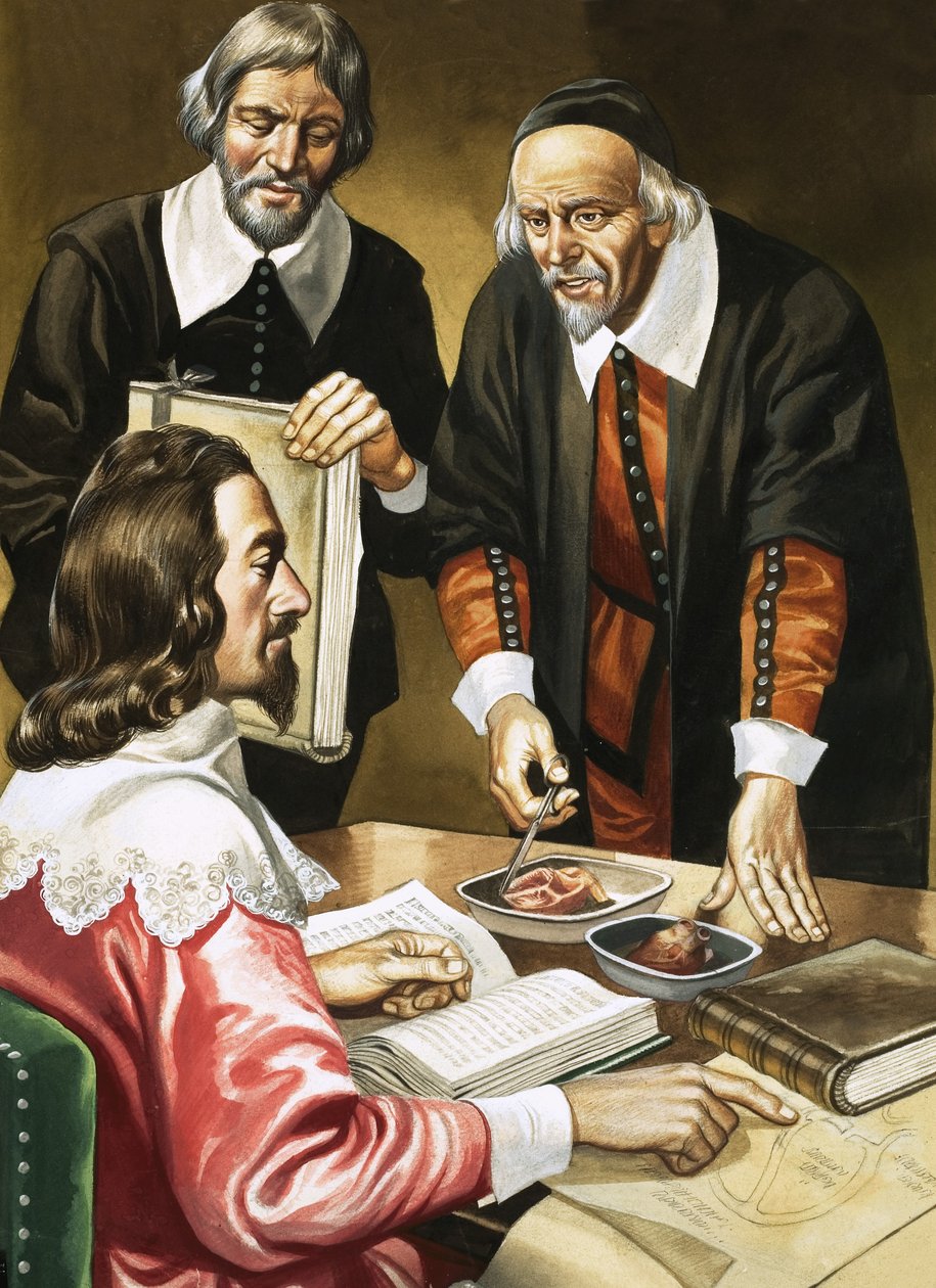 Karl I och William Harvey diskuterar hjärtat av Ron Embleton