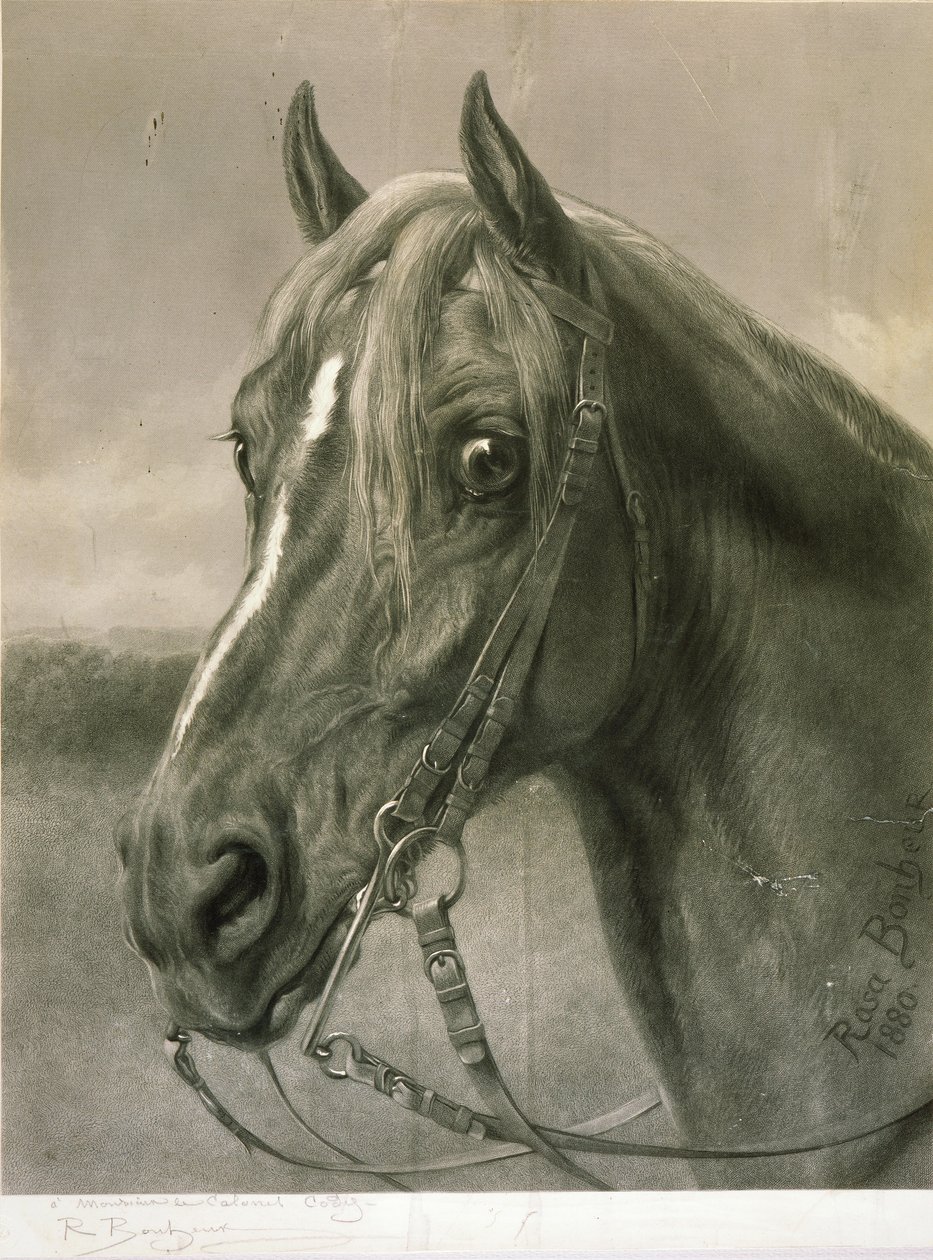 A Monsieur le Colonel Cody av Rosa Bonheur