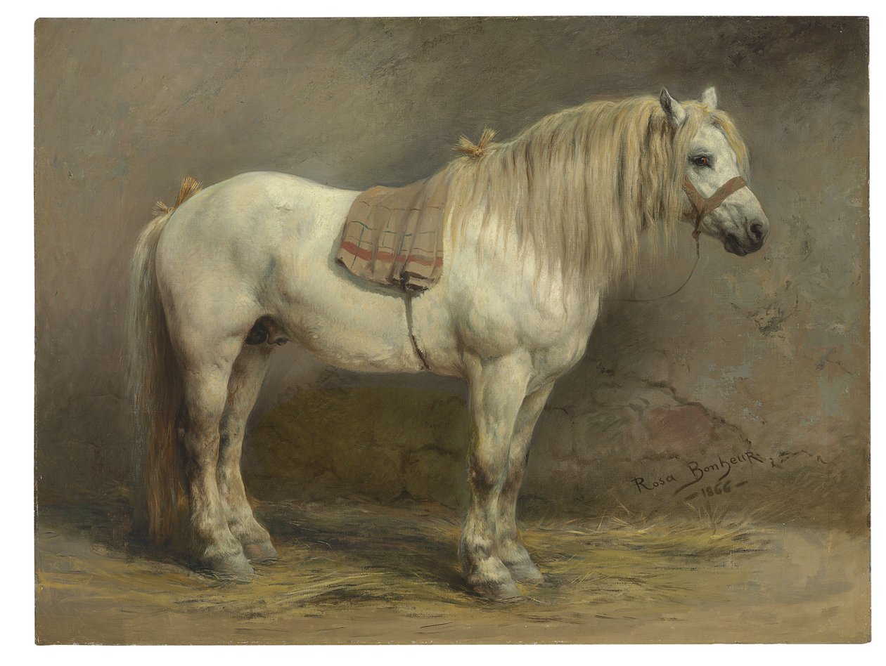 En vit häst av Rosa Bonheur