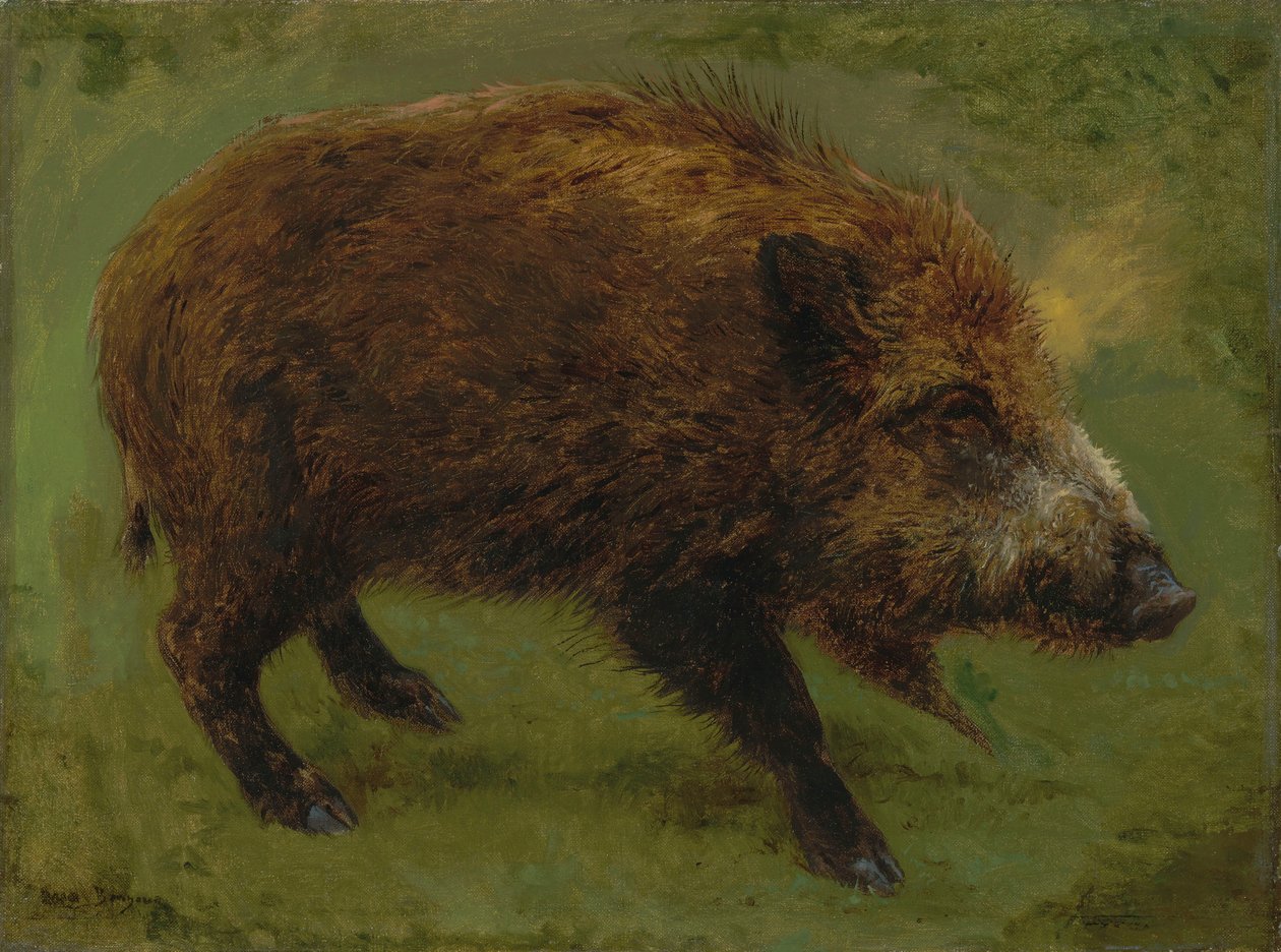 Franska:  Le sanglier Vildsvin av Rosa Bonheur