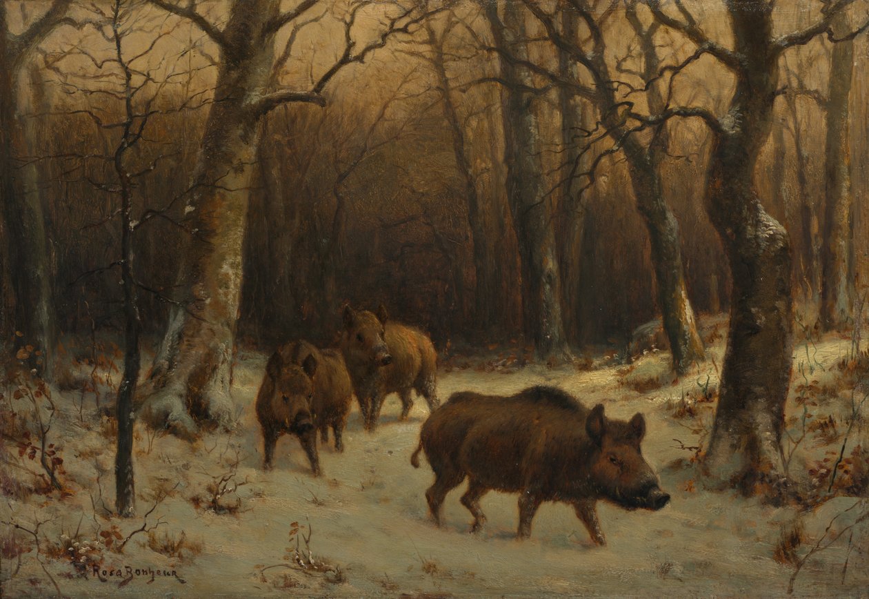 Franska:  Sangliers dans la neige Vildsvin i snön av Rosa Bonheur