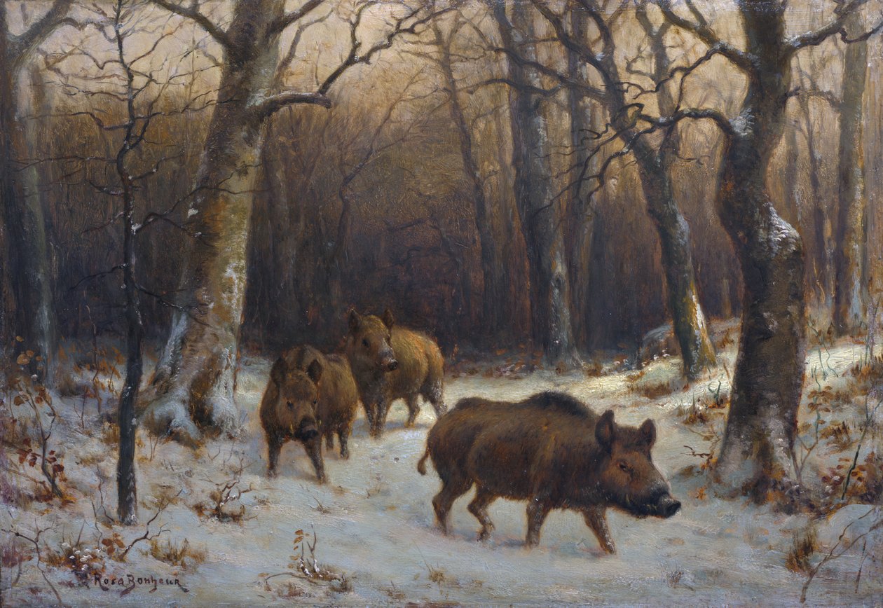 Franska:  Sangliers dans la neige Vildsvin i snön av Rosa Bonheur