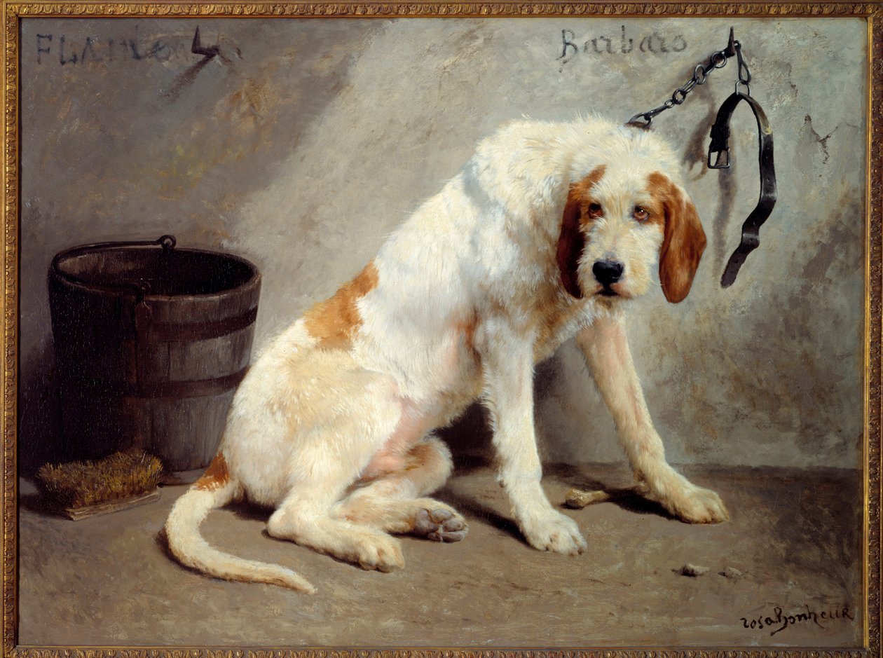Hunden Barbaro efter jakten (Jakthund) av Rosa Bonheur