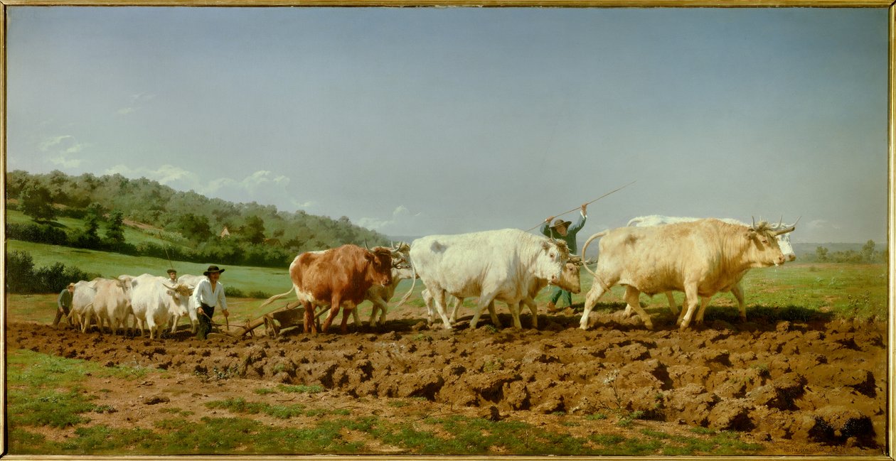Nivernais plöjning, den sjunkande Målning av Marie Rosalie Bonheur dit Rosa Bonheur (1822-1899) 1849 Sön. 1,3x2,6m Paris, Musee d