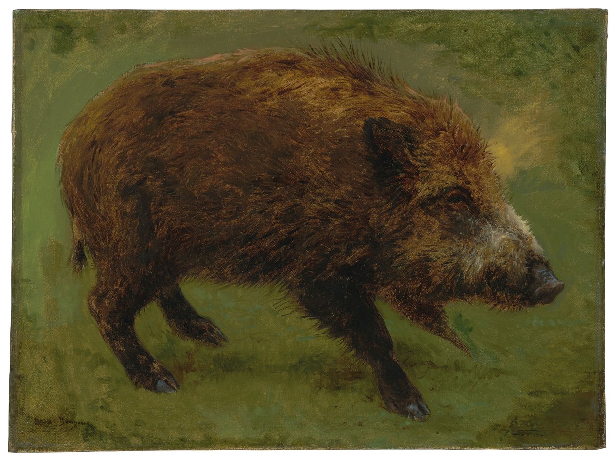 Vildsvinet (olja på duk) av Rosa Bonheur