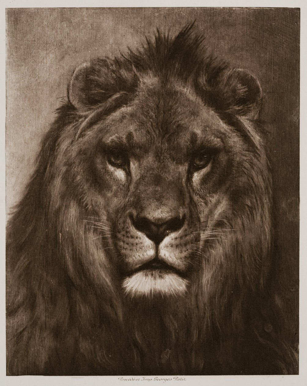 Lejon av Rosa Bonheur