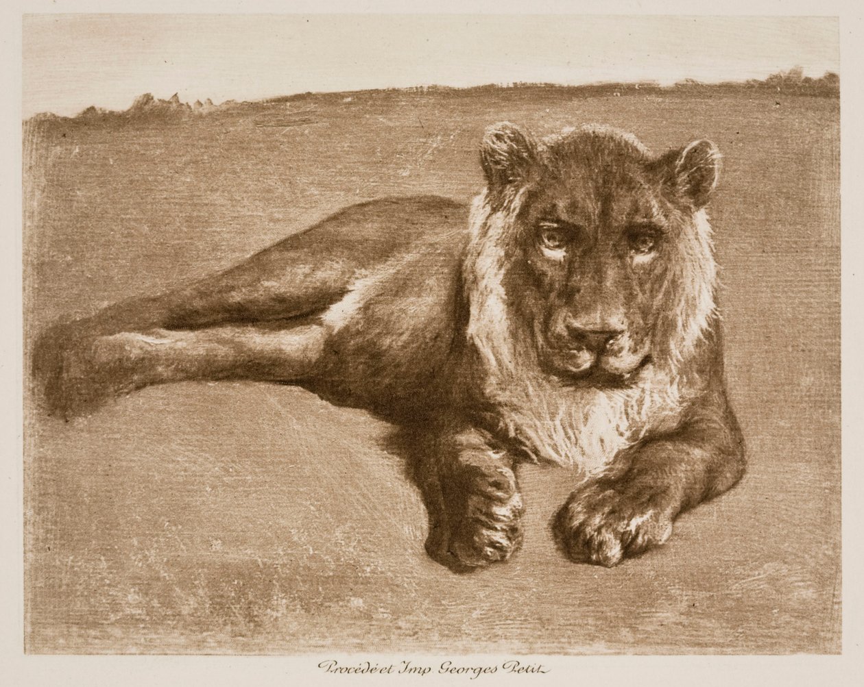 Lejon av Rosa Bonheur