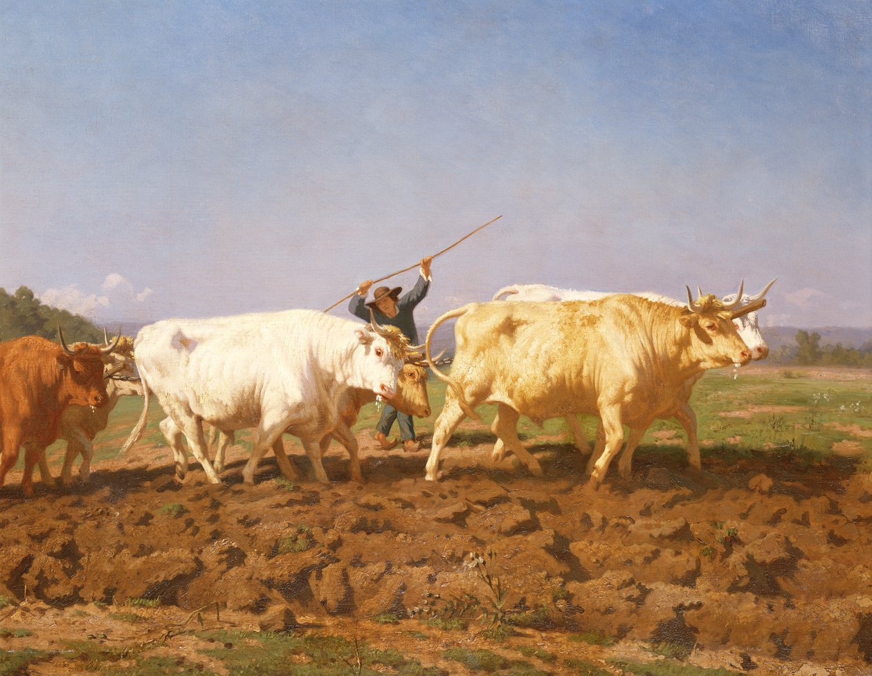 Plöjning i Nivernais, 1850 detalj av 60149 av Rosa Bonheur