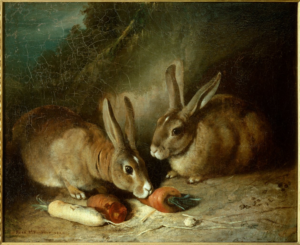 Kaniner. Målning av Rosa Bonheur (1822-1899) av Rosa Bonheur