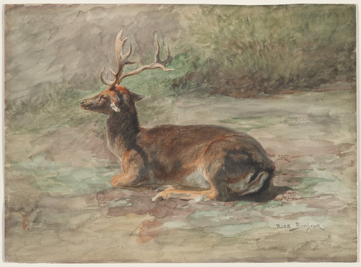 Recumbent Stag, andra hälften av 1800-talet (akvarell och gouache över grafit) av Rosa Bonheur