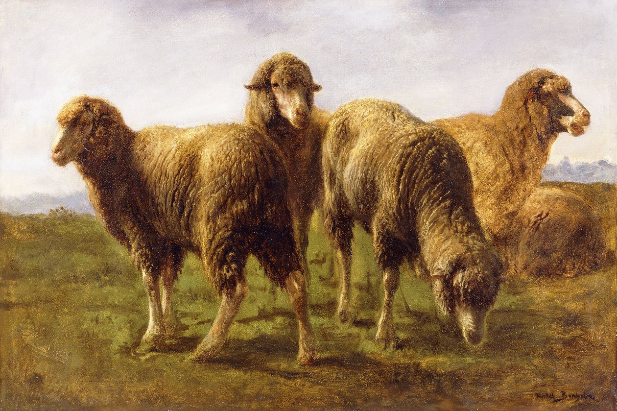 Får som betar på en äng, av Rosa Bonheur