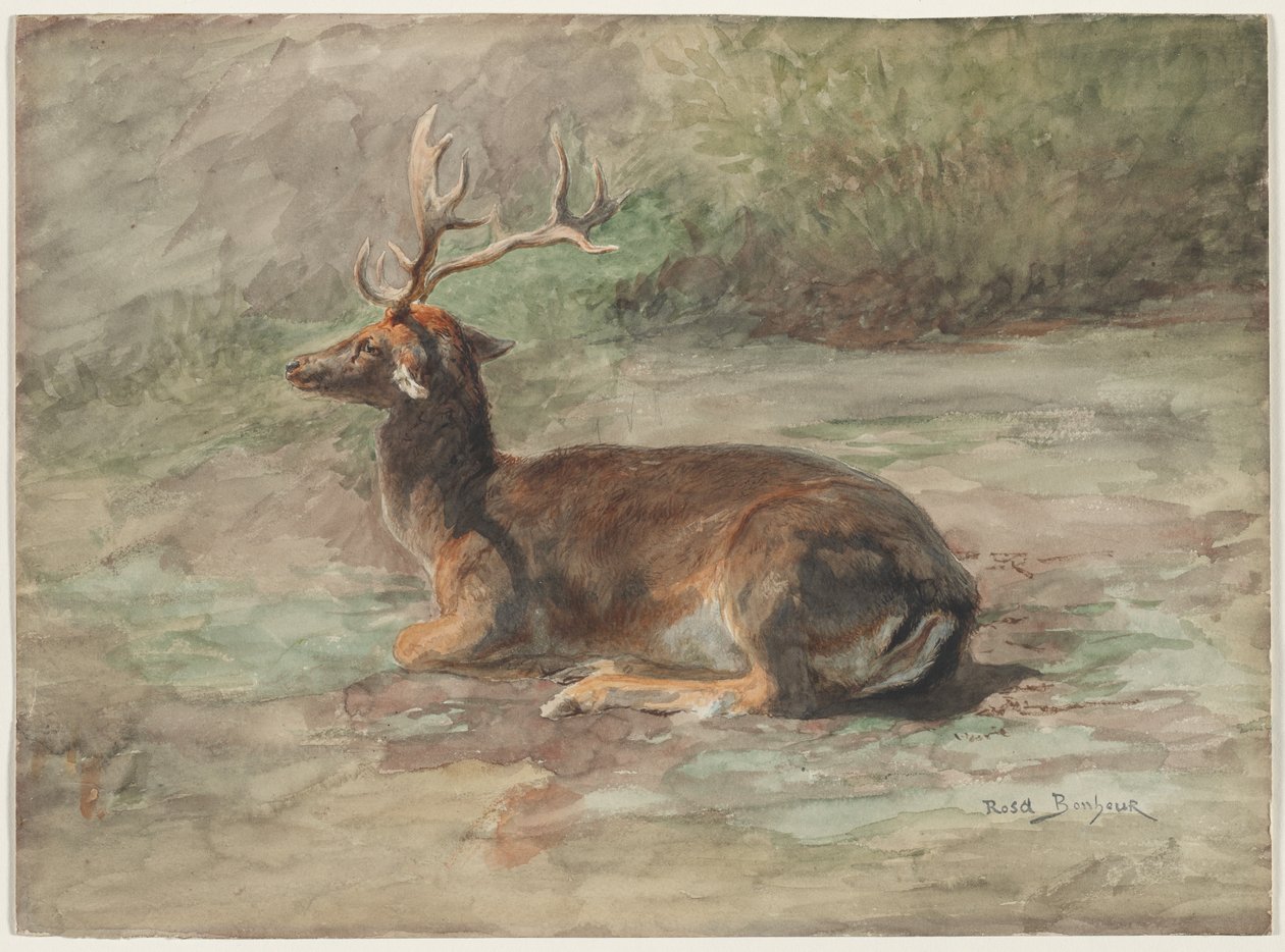 Stag Liggande av Rosa Bonheur