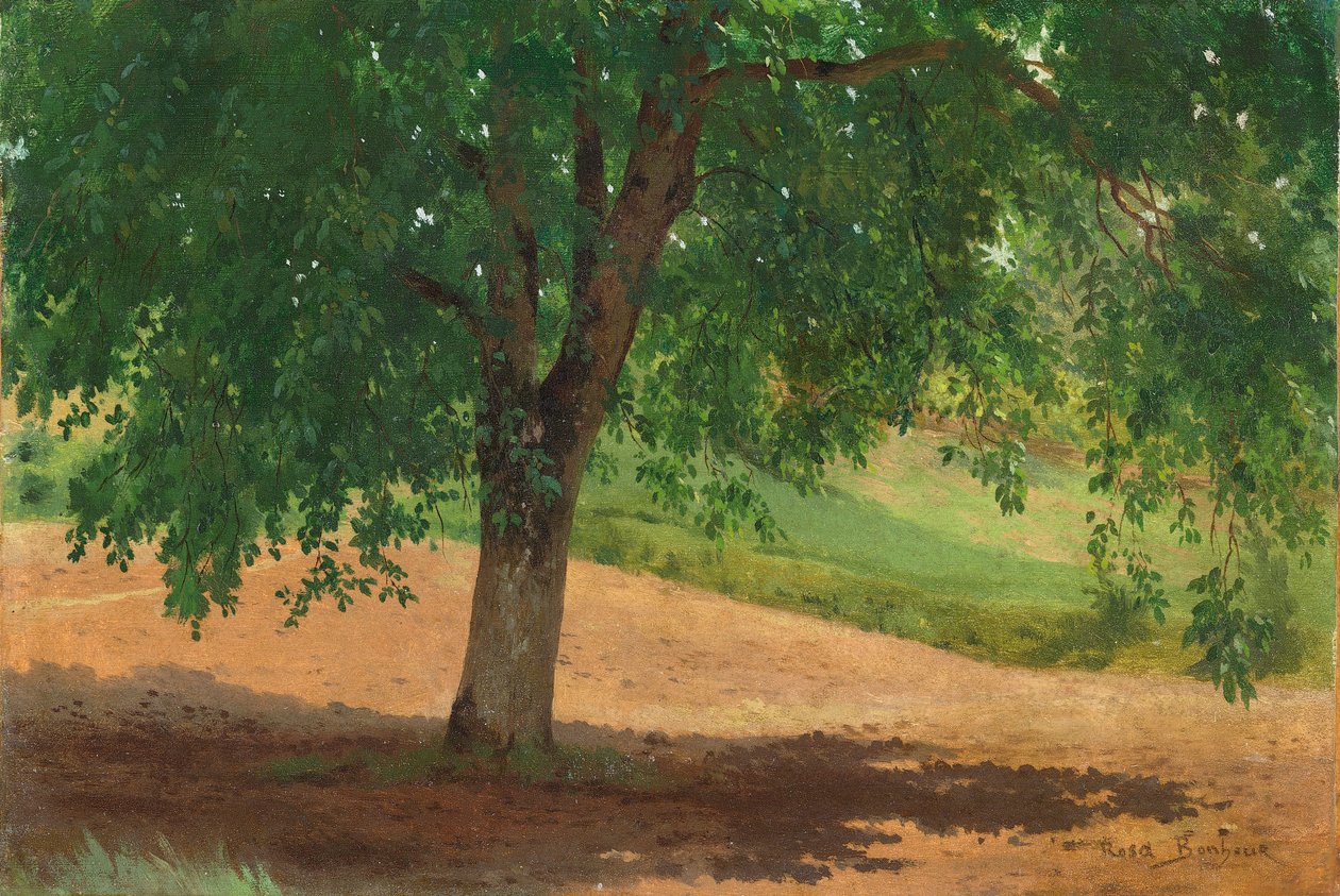 Study of Light and Shade (olja på kort nedlagd på duk) av Rosa Bonheur