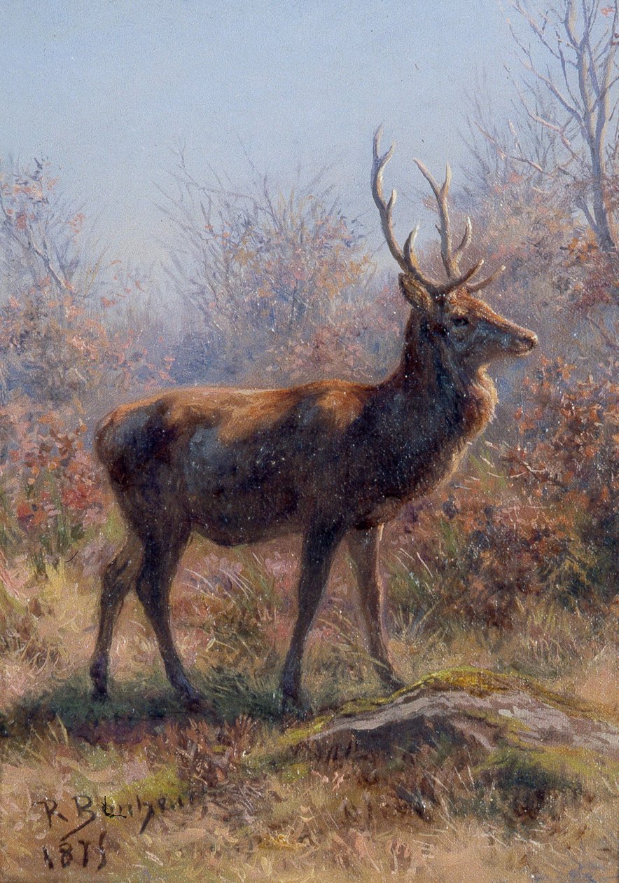 Hjorten av Rosa Bonheur