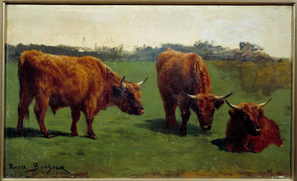 Tre studier av ett rött nötkött i en pre. Målning av Rosa Bonheur (1822-1899) av Rosa Bonheur
