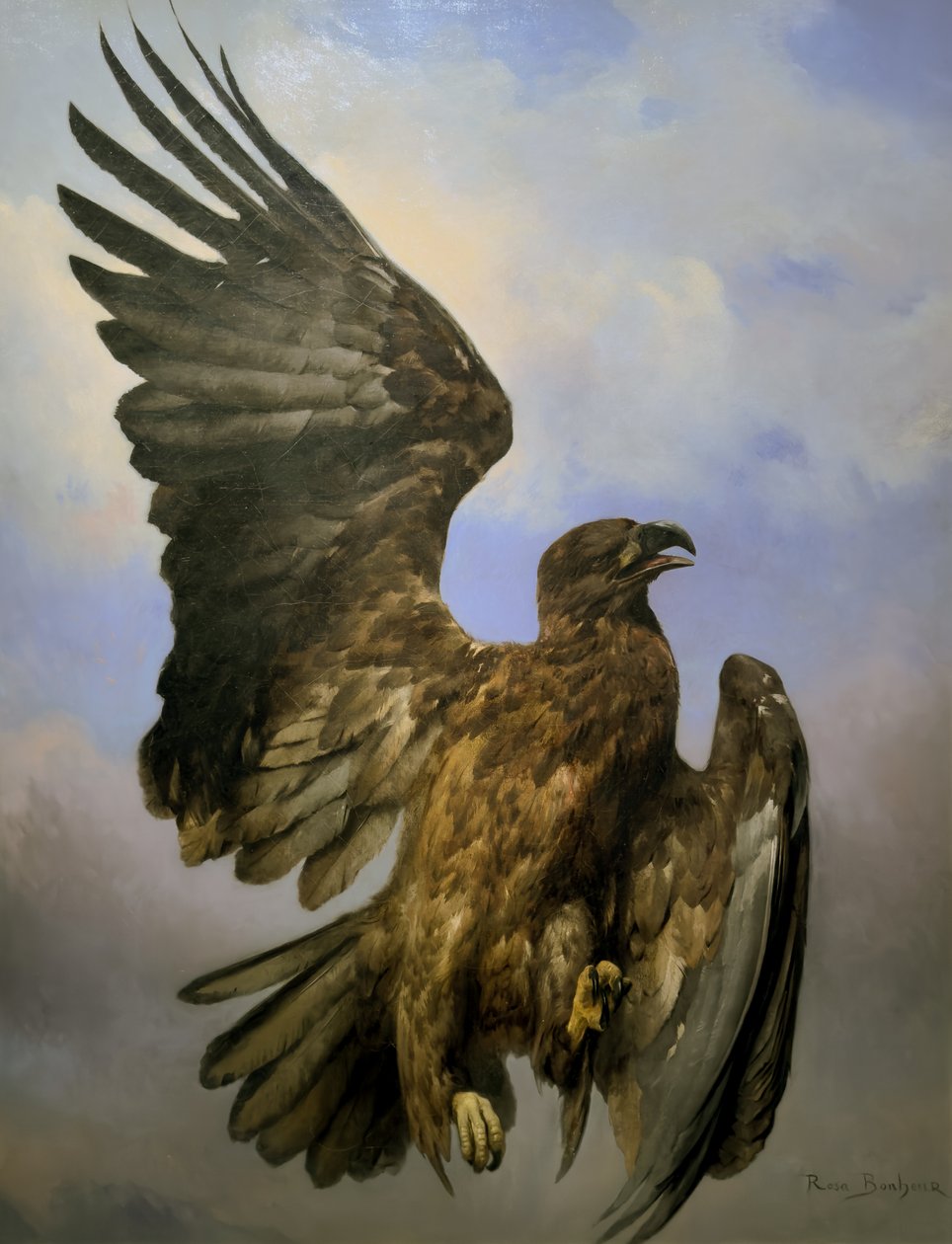 Okänd bild av Rosa Bonheur