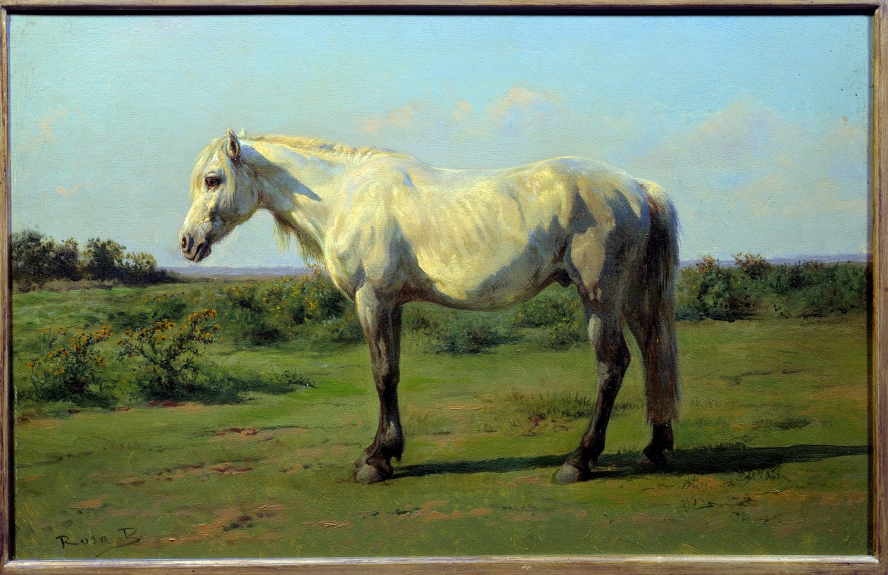 Vit häst i en pre. Målning av Rosa Bonheur (1822-1899) av Rosa Bonheur