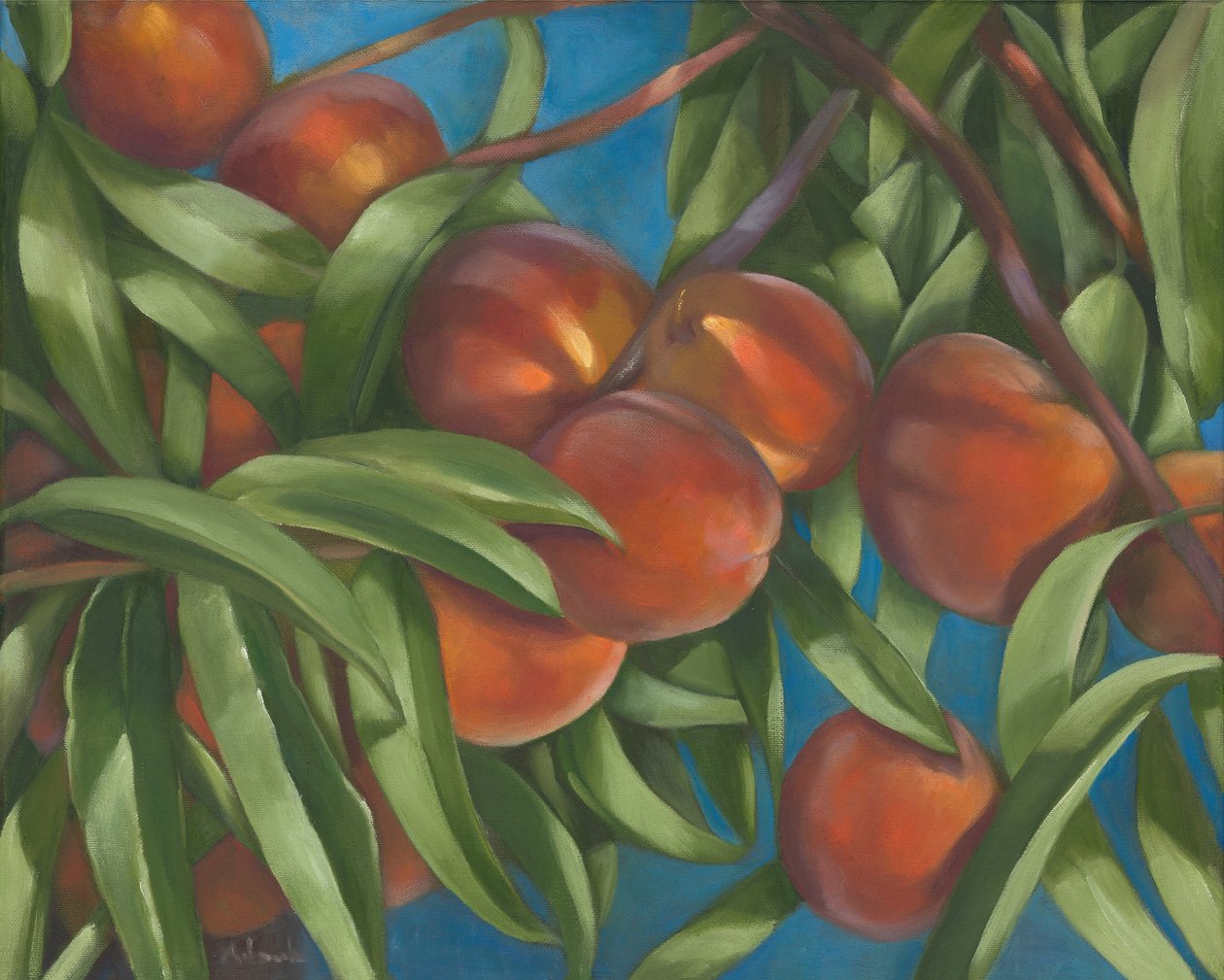 Peach Tree, 2014 (olja på duk) av Rosemarie Adcock