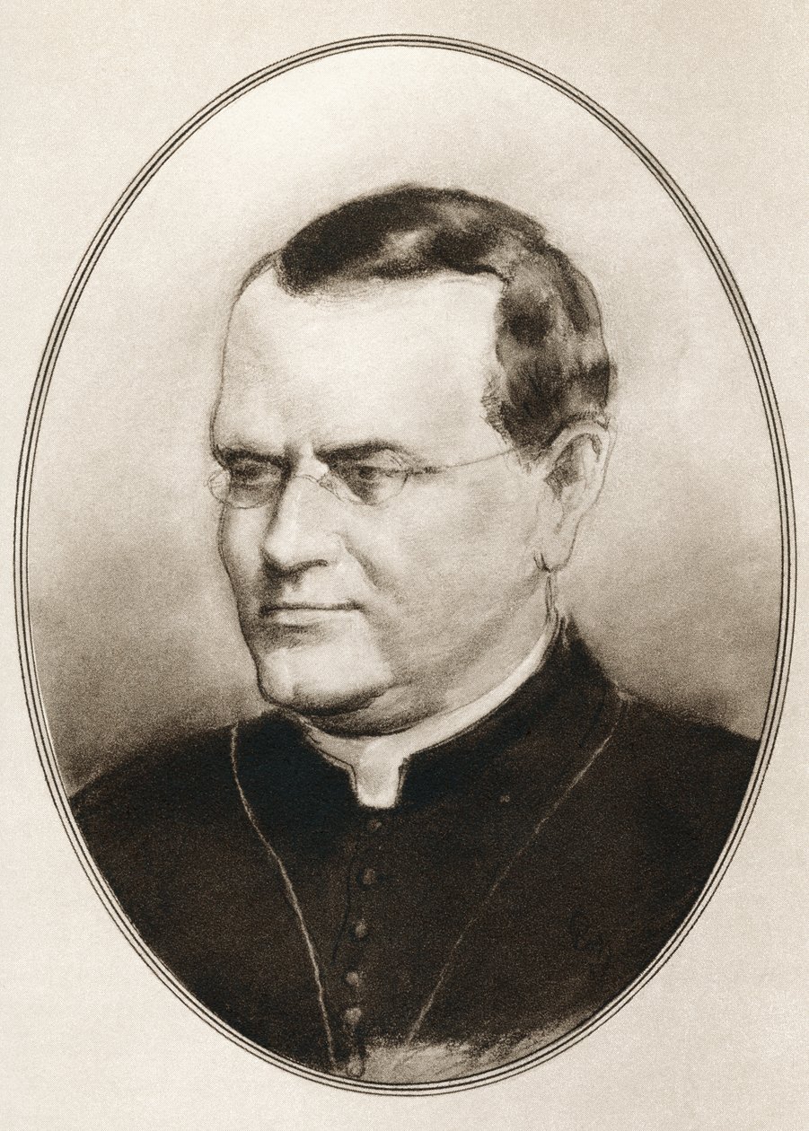 Gregor Johann Mendel, från Living Biography of Great Scientists av Ross Gordon