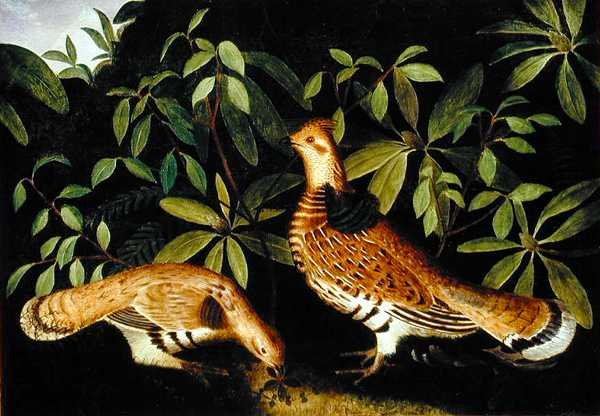 Två Ruffed Grouse i underbrush av Rubens Peale