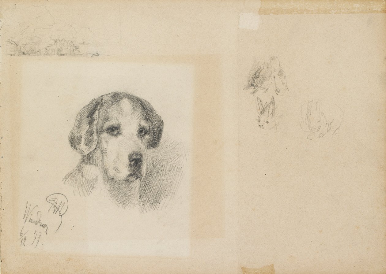Porträtt av en hund: Windsor, 1877 av Rudolf Wimmer