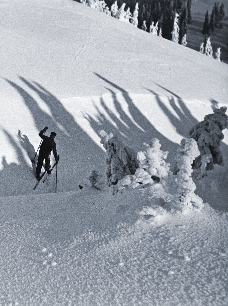 Skidåkaren, 1928 (cyanotyp) av Rudolph Koppitz