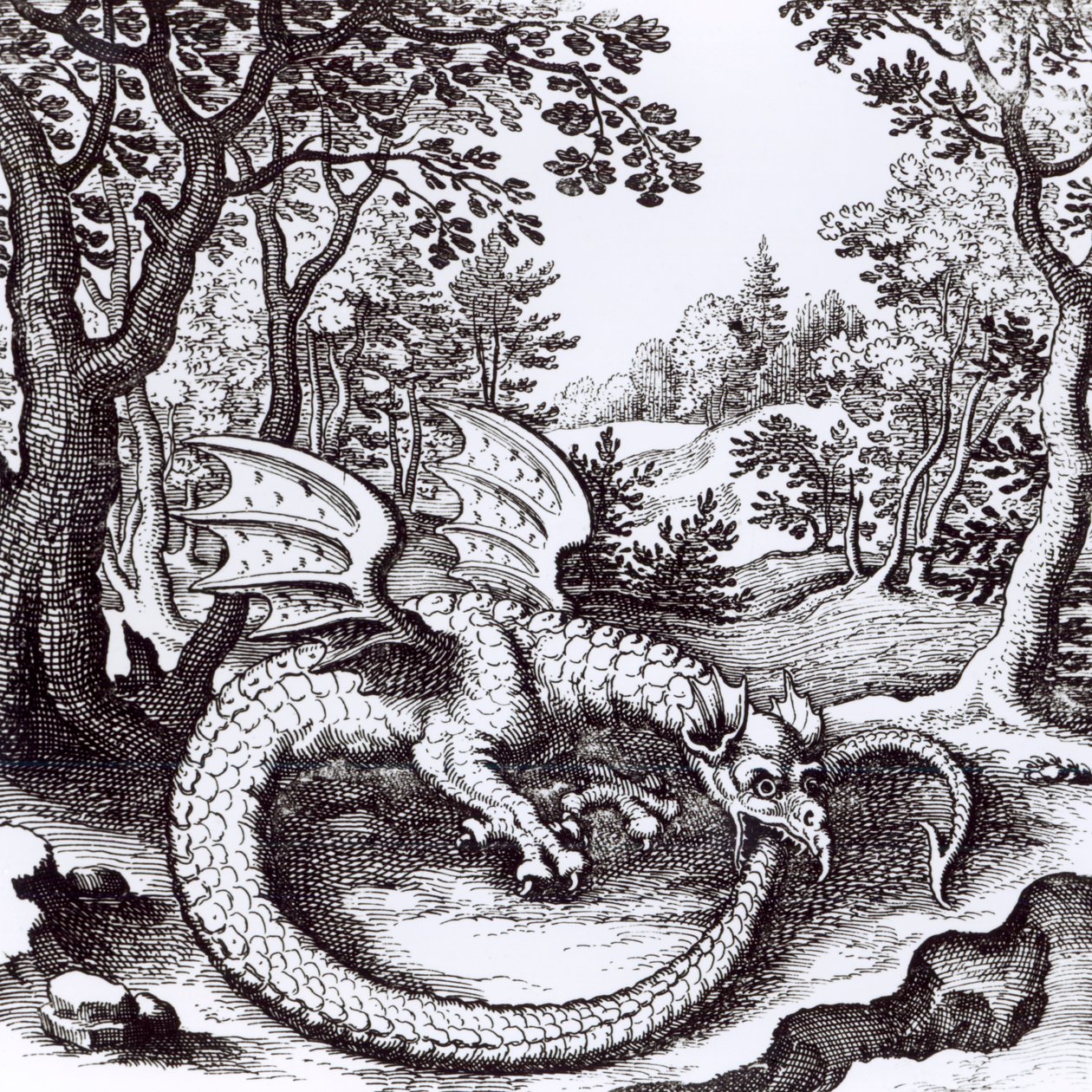 En drake i skogen, ur "Musaeum Hermeticum Reformatum" av Basil Valentine, 1678 av Russian School