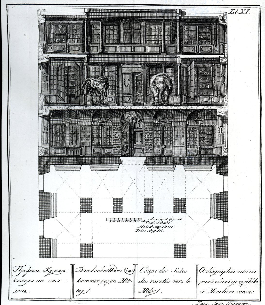 En sektionsvy av Hall of Rarities mot söder, illustration i Chambers of the St. Petersburg Imperial Academy of Sciences Library and Gallery som visar planer, fasader och profiler av Johann av Russian School