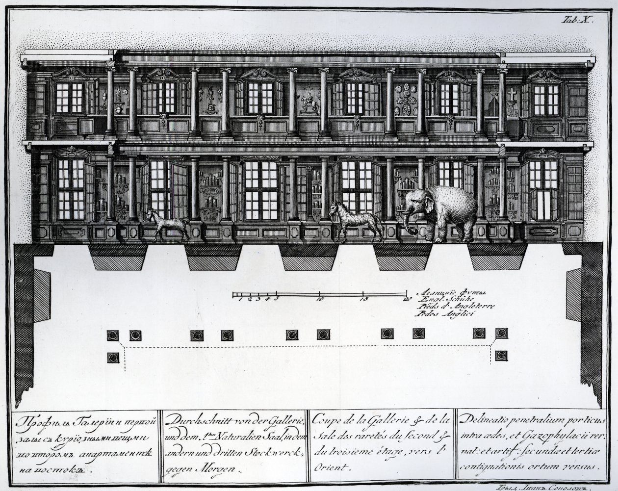 Sektionsvy av andra och tredje våningen i Hall of Rarities sedd österut, illustration i Chambers of the St. Petersburg Imperial Academy of Sciences Library and Gallery som visar Planer, Fac av Russian School