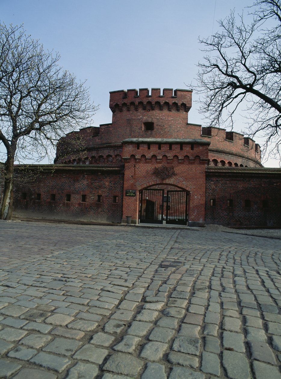Utsikt över Dohna-tornet med bärnstensmuseet av Russian School