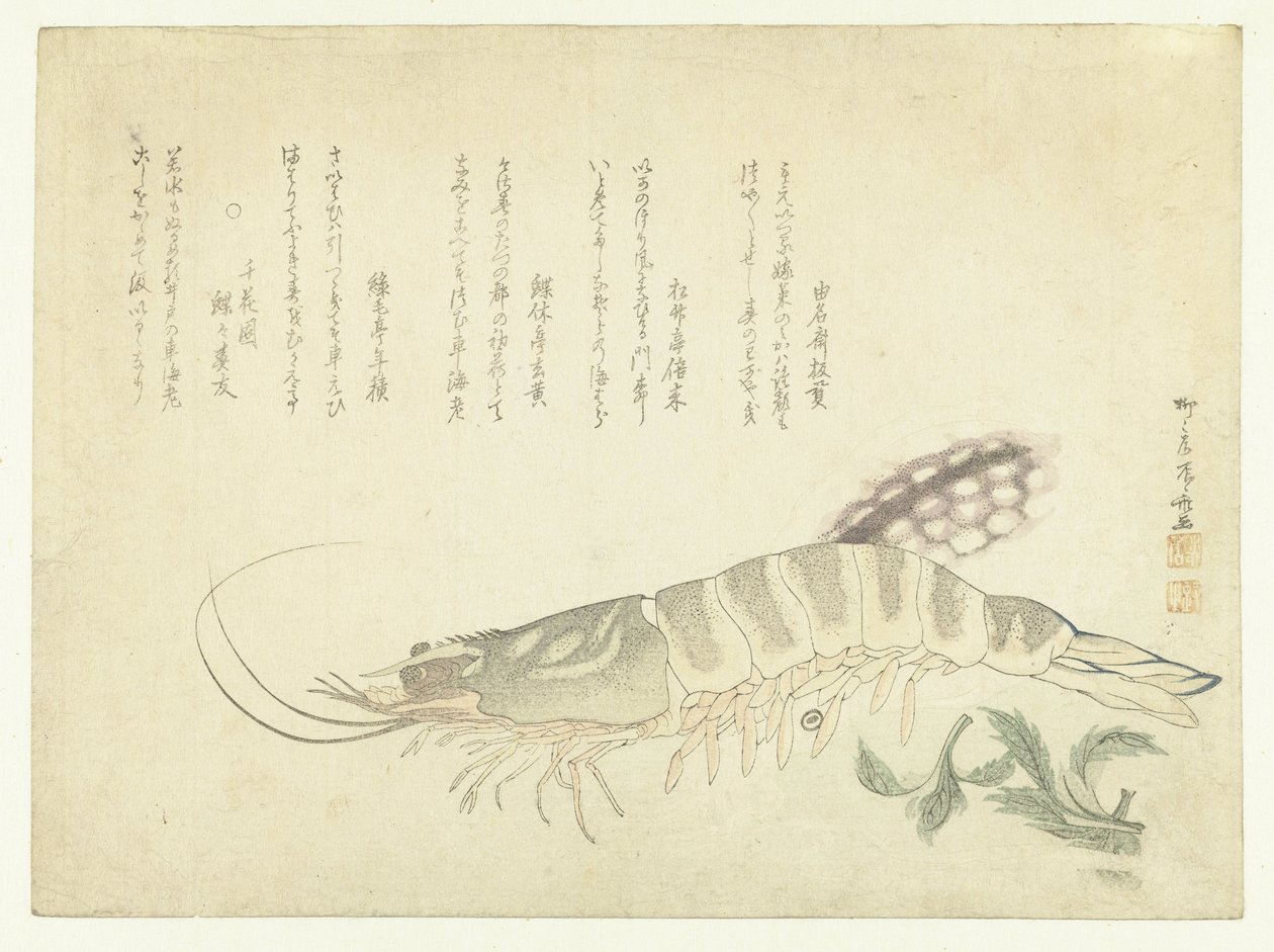 Kräftor och bläckfisk av Ryuryukyo Shinsai