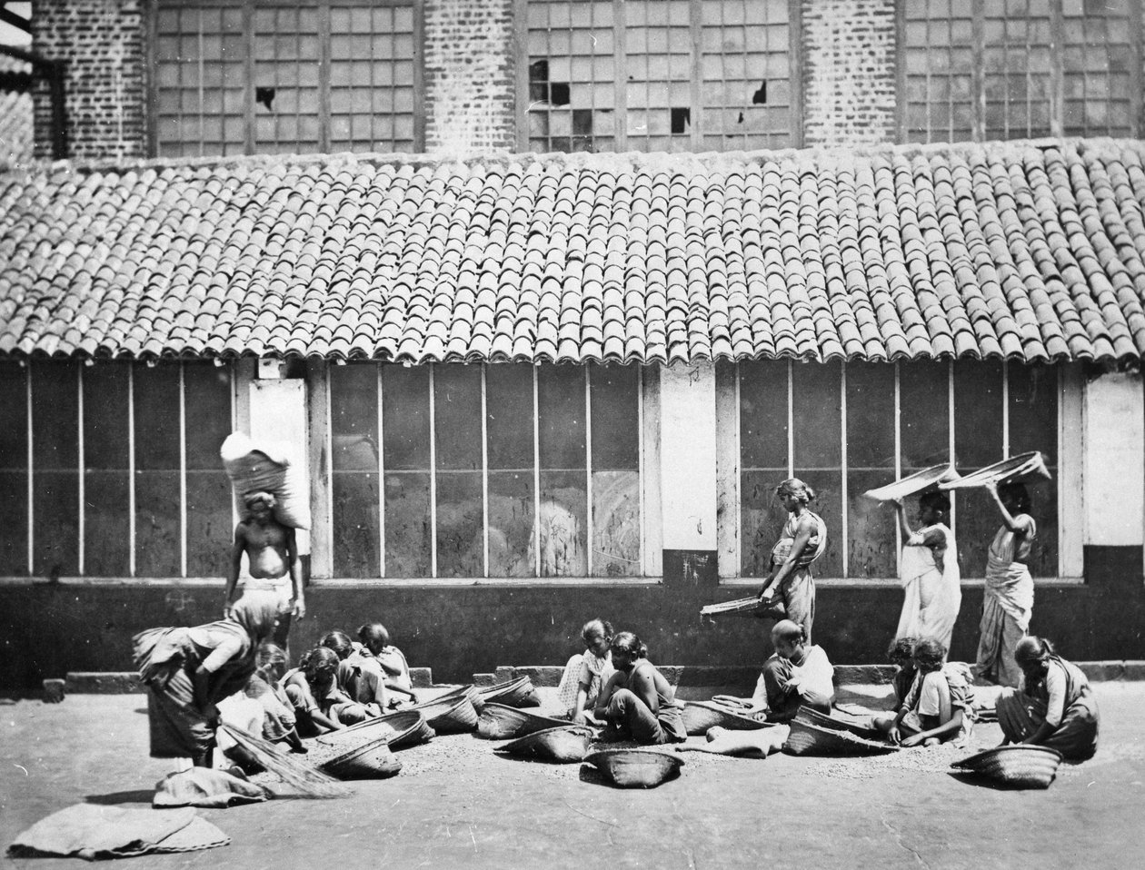 Rengöring och sortering av kaffe, Colombo, 1870 av S. and Shepherd, C. Bourne