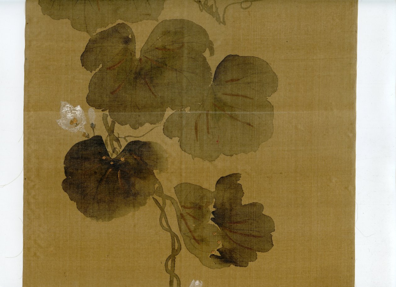 wittig.collection.painting.02.flowering.gourd.vine.rinpa.school.signature.&.seal.of.sakai.hoitsu.scanset.04.of.07 av Sakai Hoitsu