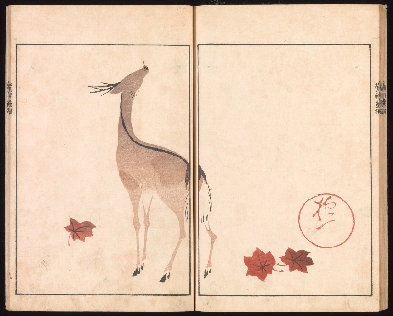 Ōson (Hōitsu) bildalbum (Ōson gafu) av Sakai Hoitsu