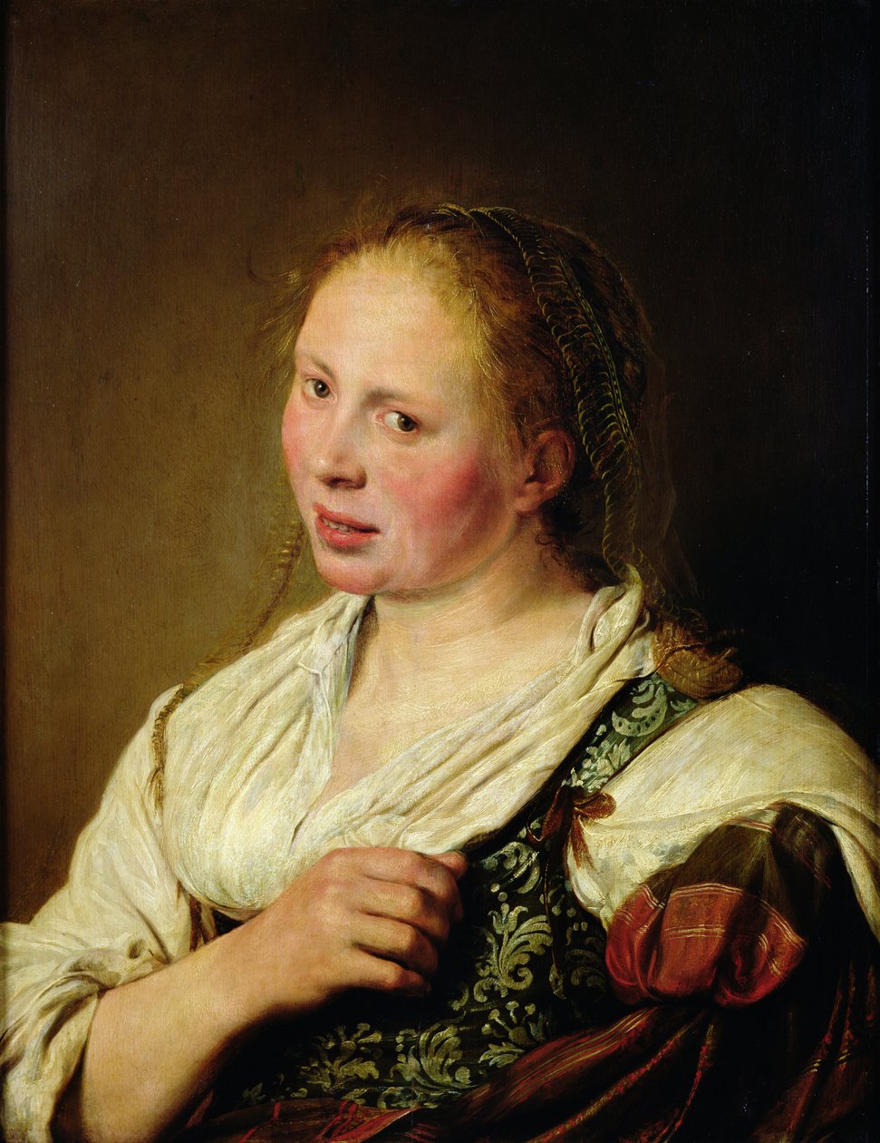 Målning av den unge bonden av Salomon de Bray