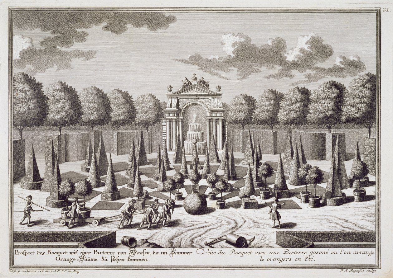 Parterre med apelsinträd i Lichtensteinpalatsets trädgård i Wien, graverad av Franz Michael Regenfus (ca 1712-80), publicerad ca 1724-37. av Salomon Kleiner