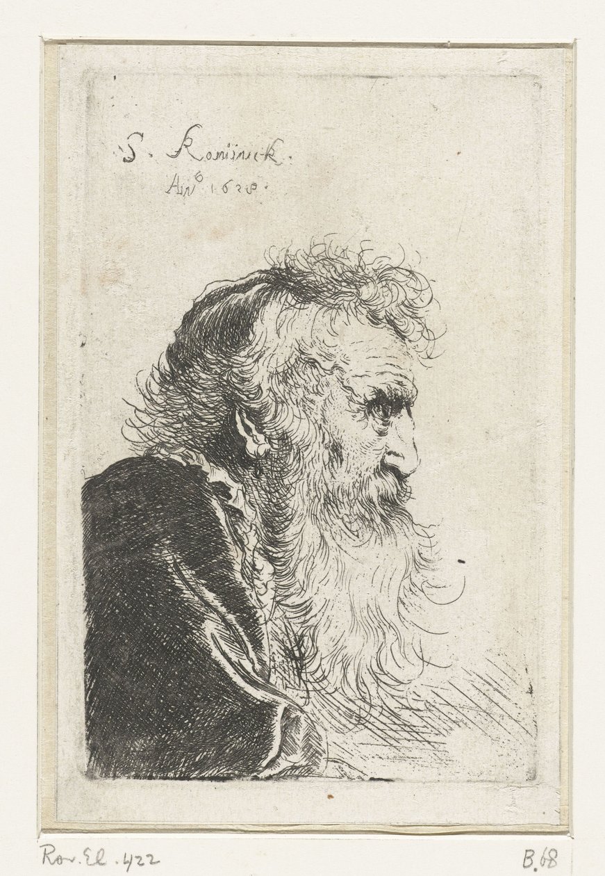 Huvud av en gammal skäggig man i profil av Salomon Koninck