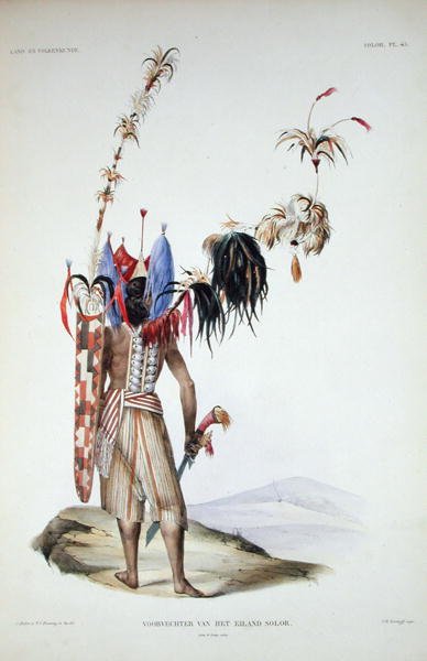 Warrior of Solor Island, ur "Verhandelingen over de Natuurlijke Geschiedenis der Nederlandsche overzeesche Bezittingen", volym I, av Coenraad Jacob Temminck, graverad av J.M. Kierdorff, publicerad 1839-44 (litografi i färg). av Salomon and Bruining T.C. (after) Muller