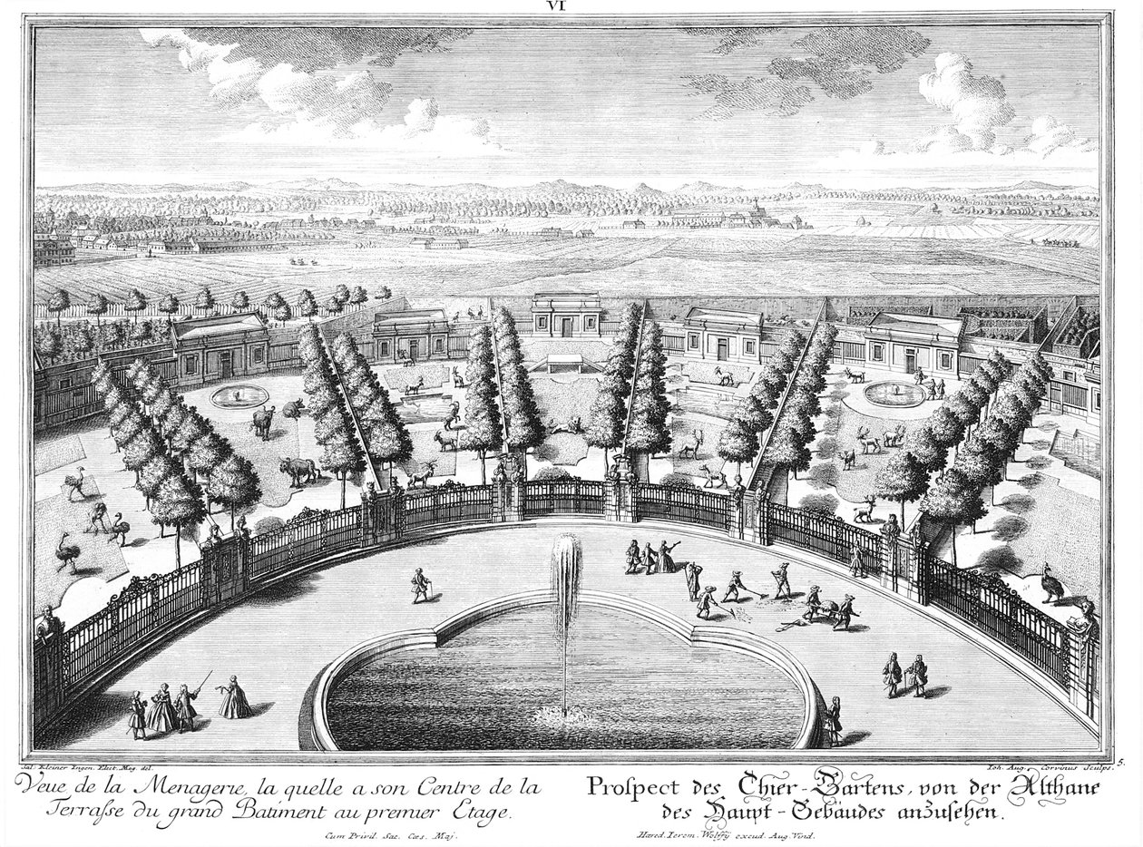 Utsikt över djurparken av Salomon Kleiner