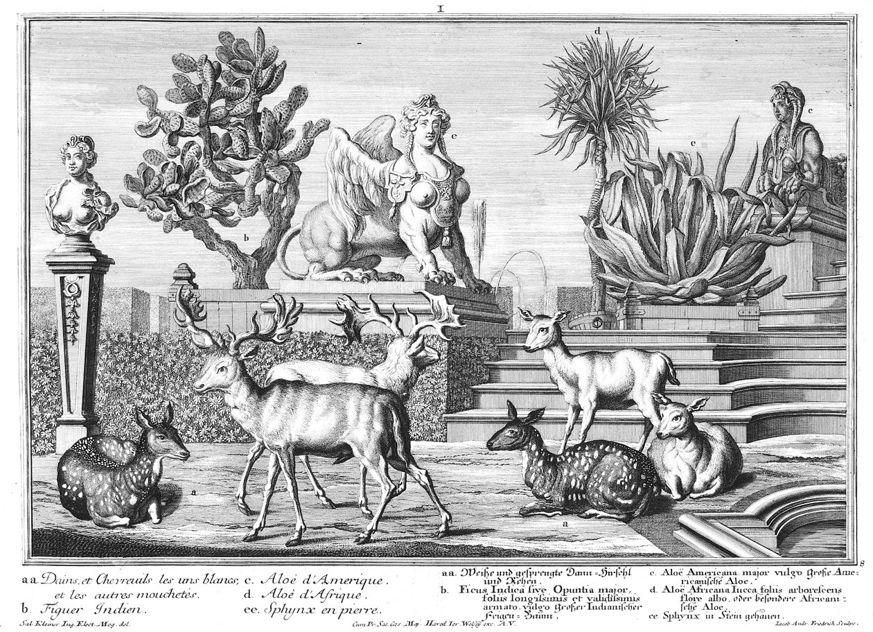 dovhjort av Salomon Kleiner