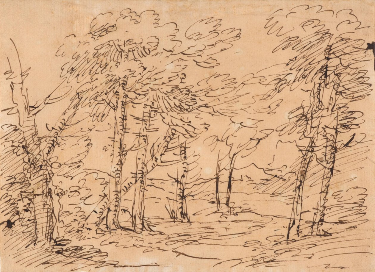 Landskap med träd och berg i bakgrunden av Salvator Rosa