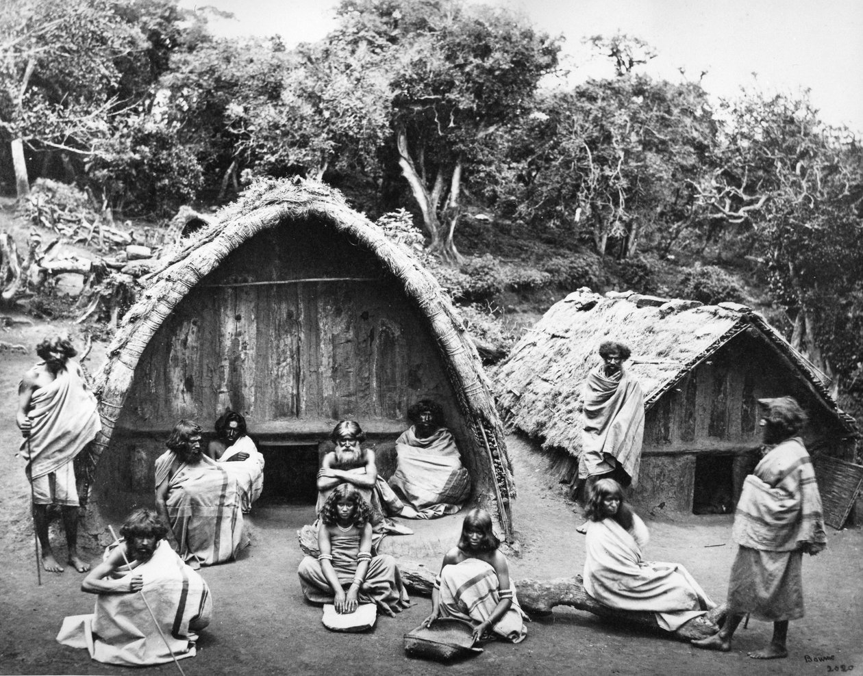 En Toda Mund vid Ootacamund, ca 1865 av Samuel Bourne