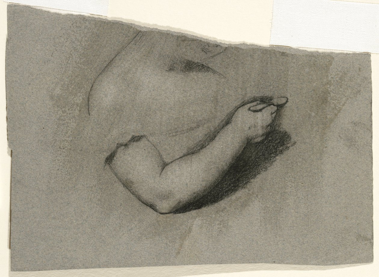 Studera för ett porträtt av Mary Hone, 1824 (kol & vit krita på gråbrunt vävt papper) av Samuel Finley Breese Morse