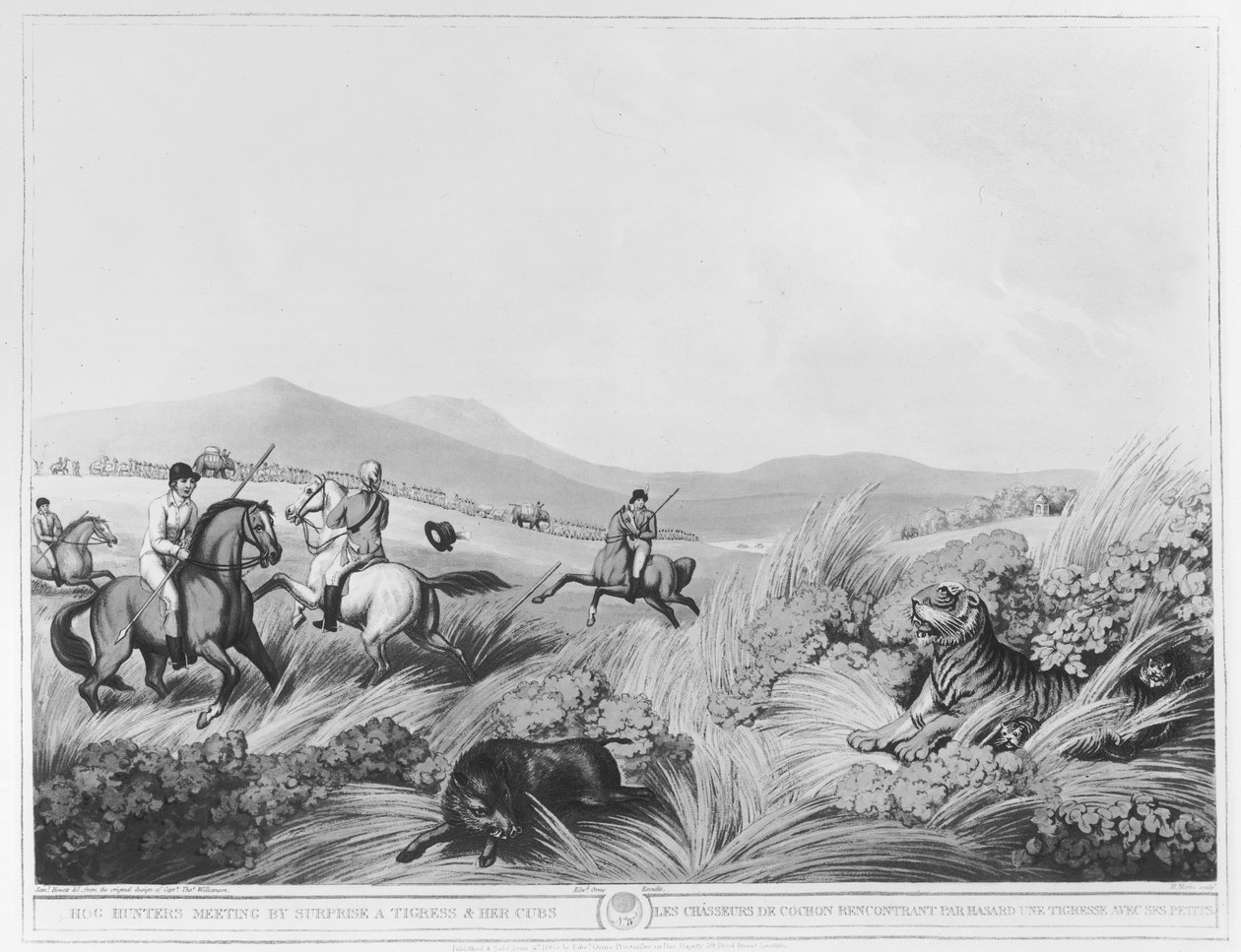 Hog Hunters Meeting, av Surprise, a Tigress and her Cubs, graverad av H.Merke (fl.1800-20) efter en originaldesign av kapten Thomas Williamson, pub. av Edward Orme (1774-c.1820) (bundw pho av Samuel Howett