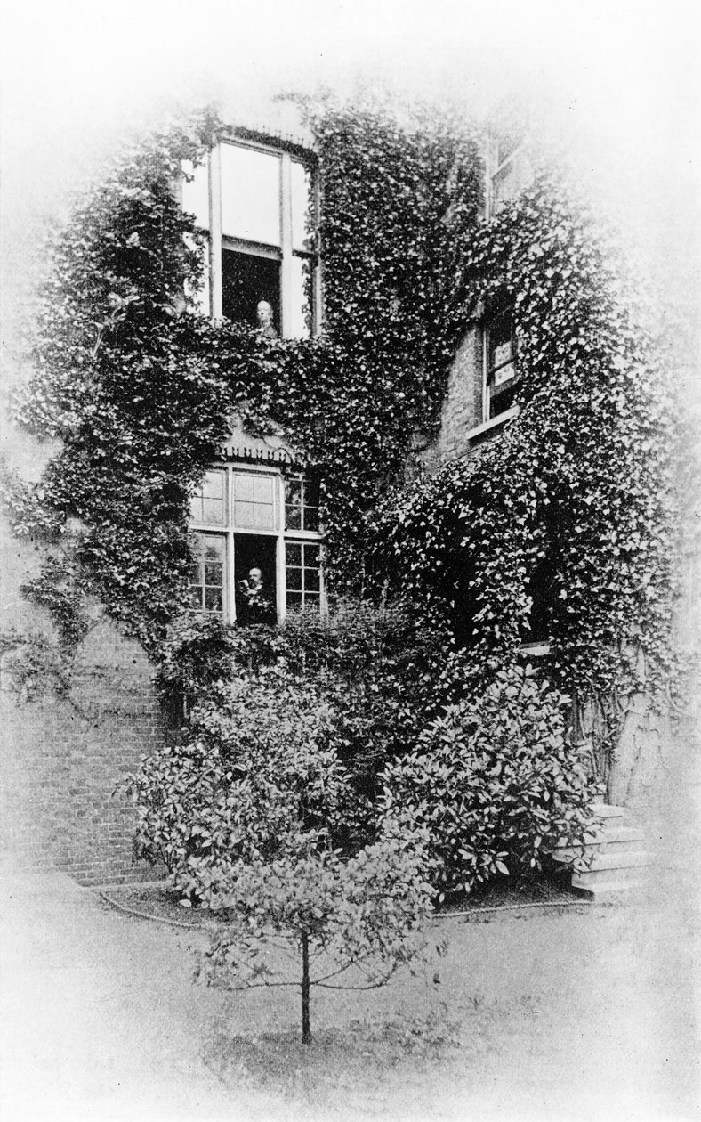 Summer at The Pines, Swinburnes hem i Putney, ca 1900-09 (bw foto) av Samuel James Poole