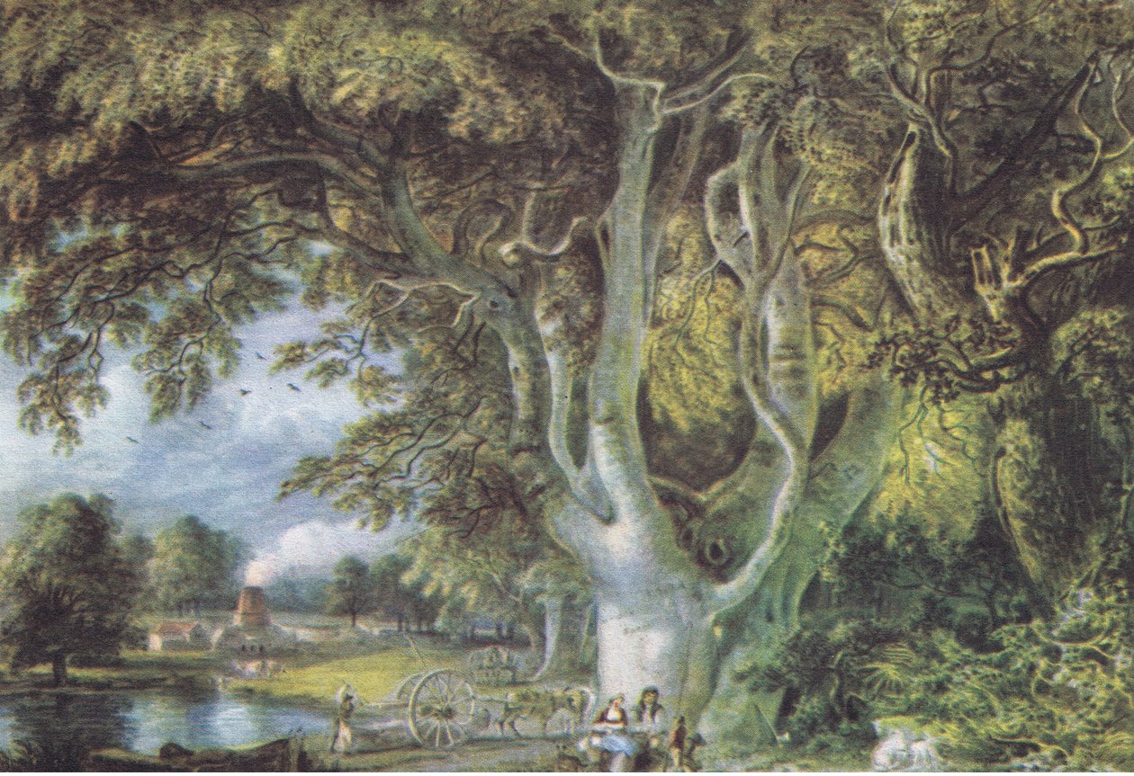 Oak Trees, Shoreham, Kent, Nature in Britain publicerad av Collins, 1946 av Samuel Palmer