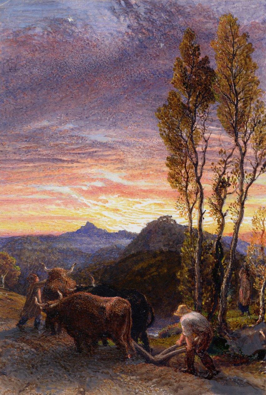 Oxar som plöjer vid solnedgången av Samuel Palmer