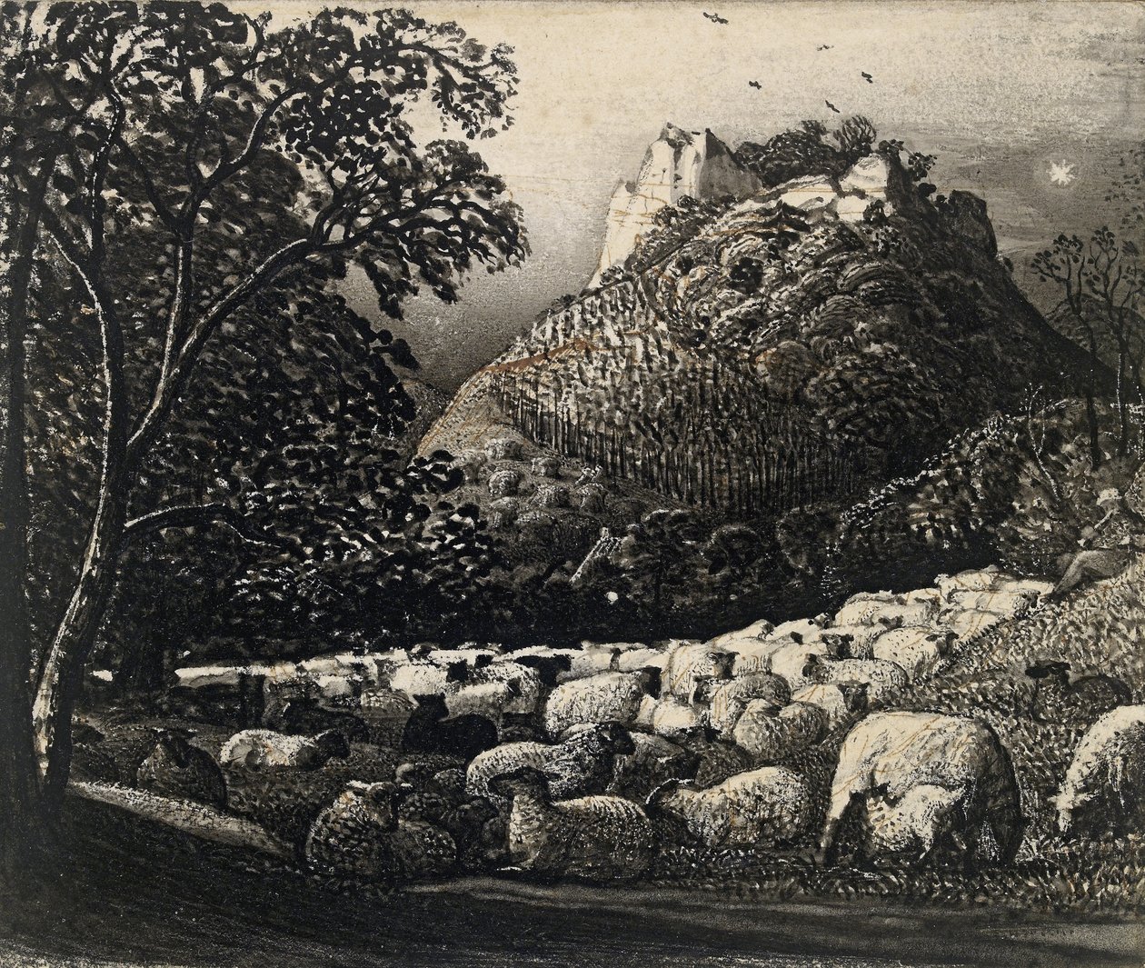 Flocken och stjärnan (penna och pensel i bläck över penna och bläck) av Samuel Palmer